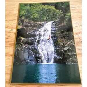 Island Heritage Cliff Divers Perform Daily Postcard Sku 0321